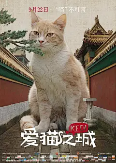 爱猫之城 Kedi 海报-2