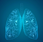 医疗科技肺部结构矢量图设计素材