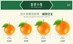 rosebird采集到养生类
