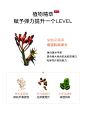 植物植萃 赋予弹力提升一个LEVEL