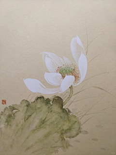 YEUNG_Jewelry采集到花卉