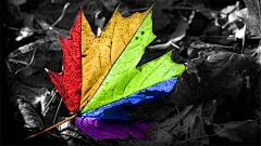 绚丽多彩的好看创意个性图片桌面壁纸高清（2）