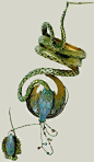 装饰艺术运动的一代宗师René Lalique(1860-1945）设计的首饰！！！ ​​​​