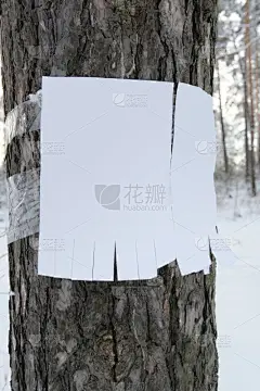 公告信息,垂直画幅,天空,洞,艺术,雪,无人,古老的,动物腿骨,口络