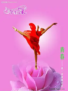 今生缘形象海报设计素材PSD|PSD分层素材|分层素材|海报|海报模板|海报设计|海报素材|玫瑰花|设计模板|舞蹈家|舞蹈老师|鲜花