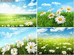 草原美景图片 自然景观壁纸