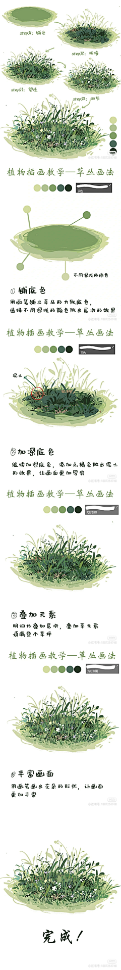 李嘉爱采集到植物教程