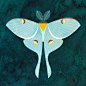 This contains an image of: ‘Luna Moth’ by Scott Partridge