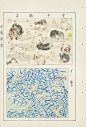 一组1900年的日式纹样设计。 ​（转）via @美术绘画作品 ​ ​​​​