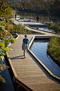 SOM and urban rivers enliven the chicago river with a floating eco-park