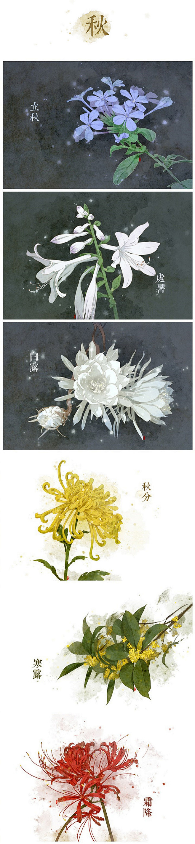 二十四节气秋系列