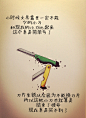 来自相册