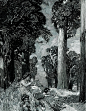 富兰克林·布斯（Franklin Booth，1874-1948）20世纪初的流行杂志插画家，是美国最早的现代ex libris设计师之一，年少时误以为杂志上刊印的版画是钢笔画，因此来用笔墨进行临摹练习，阴差阳错之下具有独特的个人风格插图风格。他的钢笔画中各种灰阶层次很丰富，暗部灰阶可以拉 ( (129)
