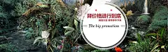 森系,绿色,服装,促销,海报banner,文艺,小清新,简约图库,png图片,,图片素材,背景素材,3612335北坤人素材@北坤人素材