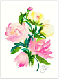 Watercolor - Flowers