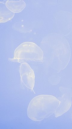 【高清手机壁纸。风景美图。城市风光摄影。设计灵感。桌面锁屏。】❤️