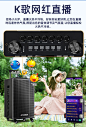 山水（SANSUI） E12演唱音响户外k歌拉杆音响演出大音量蓝牙移动音响大功率唱歌室外音箱表演舞台 山水E12+双话筒【图片 价格 品牌 报价】-京东