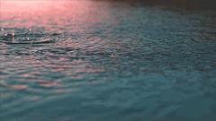 继续等待编辑采集到gif