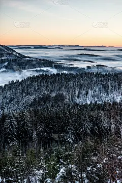 冬天,徒步旅行,黑森林,垂直画幅,山,德国高速列车,夜晚,雪,早晨,曙暮光