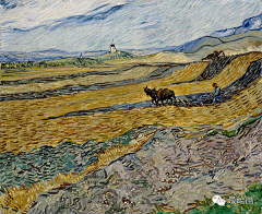 邵恒超采集到Van Gogh 梵高
