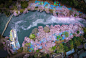 Danilo Dungo在东京「井之頭公園」空中摄影的「桜の河」