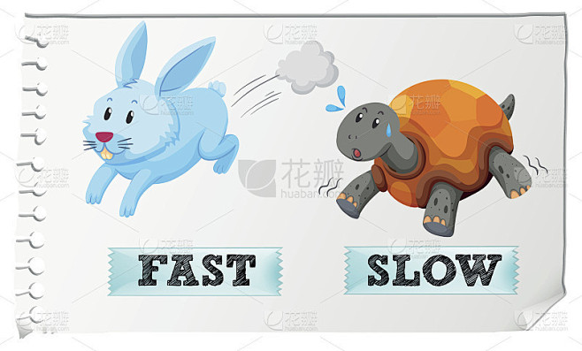 形容词的反义词是fast和slow