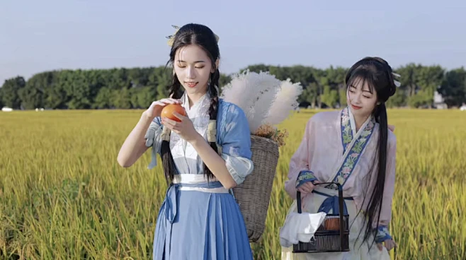种田-花瓣网