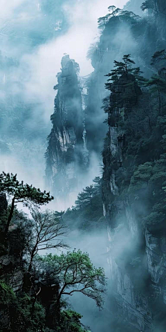 古琴心采集到良辰美景奈何天