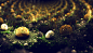 Bacteria Garden by C-91