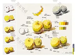 入门教学色彩静物临摹范本2019烈公文化陈明水粉画色彩基础单体组合色稿色调临摹范本照片写生对画高考联考广东美院绘画册教材程书-tmall.com天猫