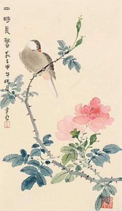猪有限公司采集到花