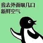 沙雕小企鹅走一波~ 
#沙雕企鹅表情包#  
#沙雕表情包# ​​​​