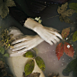 Monia Merlo Photography
