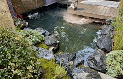 Mark39采集到庭院-水景鱼池