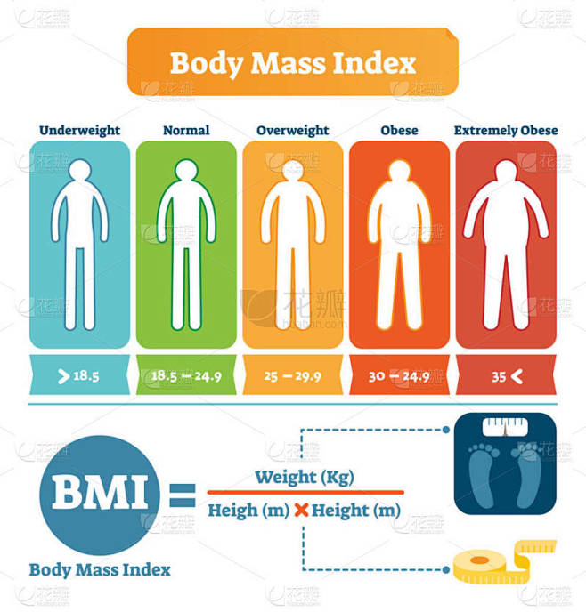  bmi 