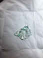 这条斗鱼有没有长到你的申美上 - 小红书