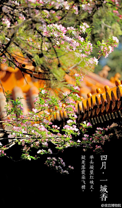 朝紅顏、暮枯骨☀采集到建筑