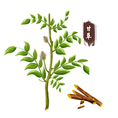 麻辣粉丝包采集到药材