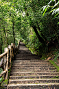 雅安蒙顶山风景名胜区