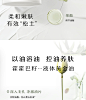 BOTANIERA/植然方适白泥毛孔净澈控油泥膜清洁控油补水保湿去角质-tmall.com天猫