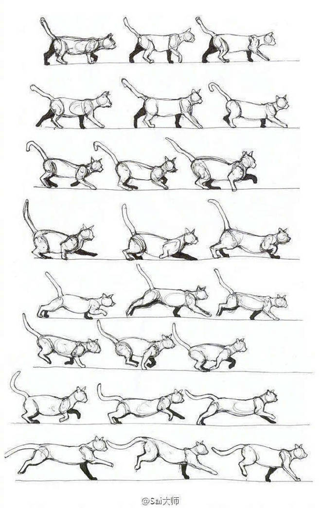 #绘画学习# 
一组猫动态绘画素材！速速...