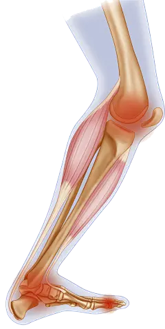 07de2b81270355a6b8d15c6989112195