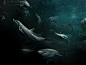 Discovery Channel – Life - 图5