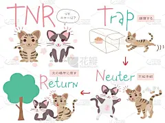 设置图例的区域猫计划和日文字母。