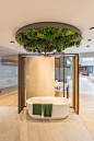 Baños sostenibles llenos de sensaciones que propone Porcelanosa Group con nuestra decoración vegetal preservada.

#techosverdes #techovegetal #bathdesign #greenceiling #greenceilings #preservedplants #plantaspreservadas #greencreativity #bath #baños 
