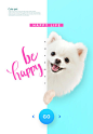 白小狗 萌宠动物 简约版式 动物海报设计PSD