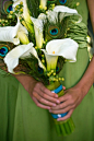 peacock feathers and calla lillies