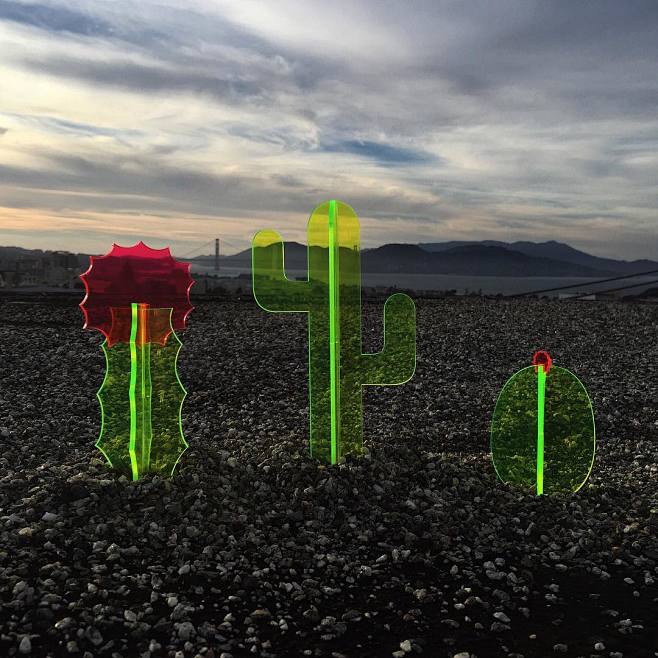 Fluorescent Cacti an...