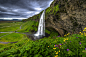 Chalermkiat Seedokmai在 500px 上的照片Summer Breeze*