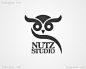 NUTZ工作室